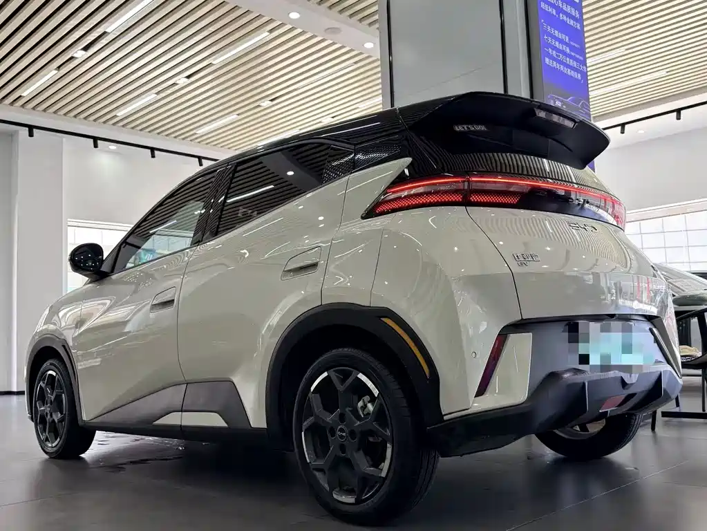 BYD Seagull 2024