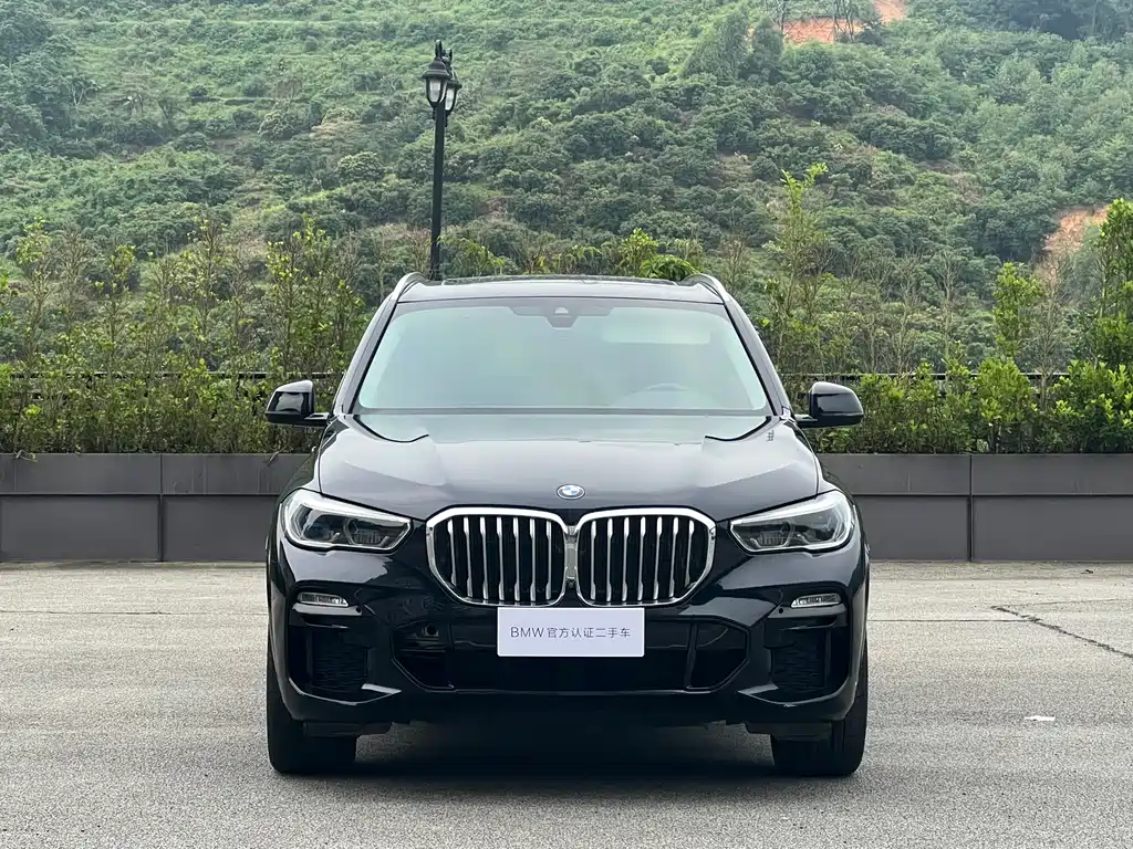 BMW X5 2019