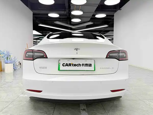 Tesla Model 3 2020