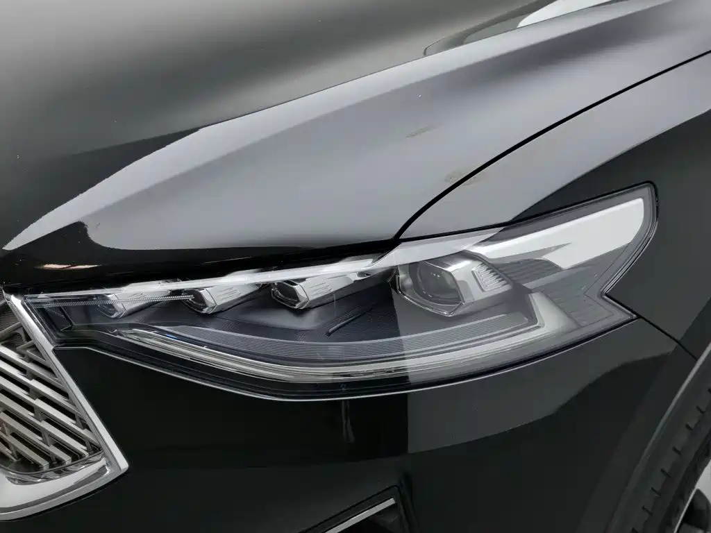 Haval F7 2021 — фото 7