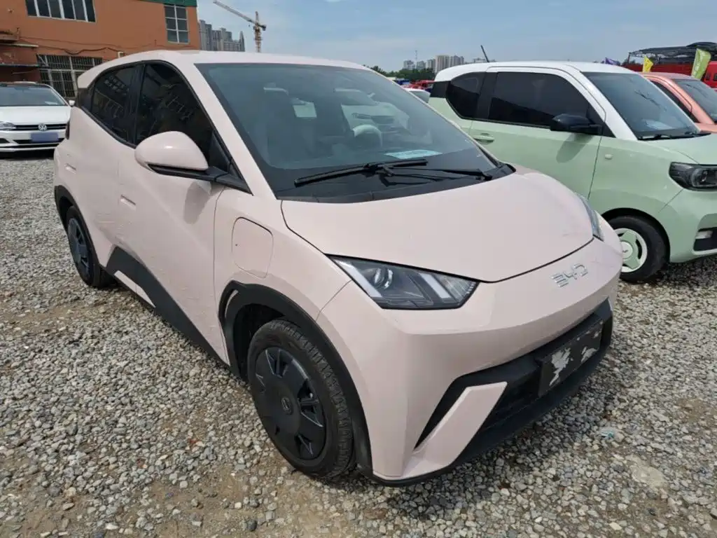 BYD Seagull 2024