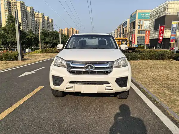 Great Wall Wingle 5 2023