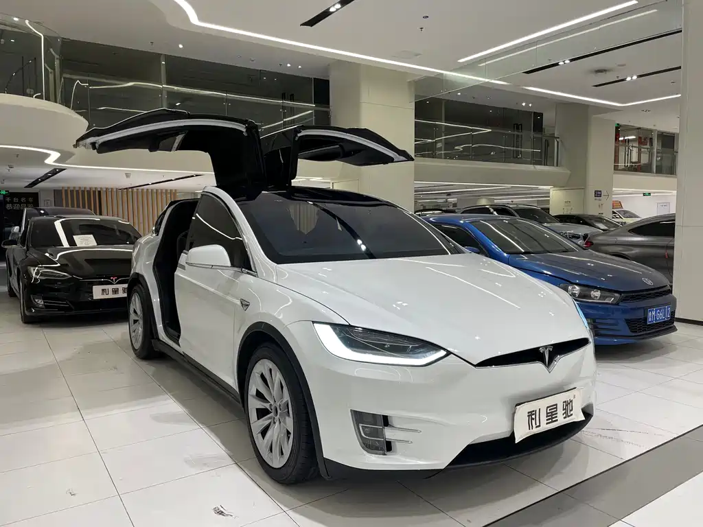 Tesla Model X 2019 — фото 2