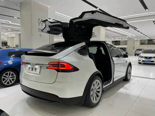 Tesla Model X 2019