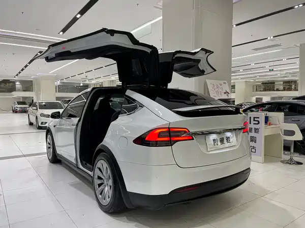 Tesla Model X 2019
