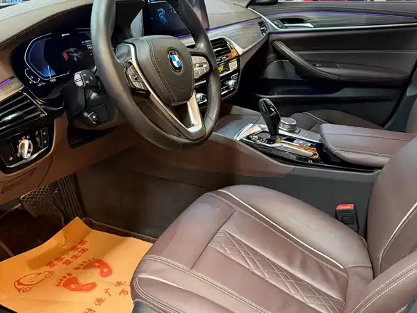 BMW 5 Series New Energy 2020
