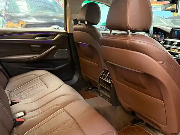 BMW 5 Series New Energy 2020
