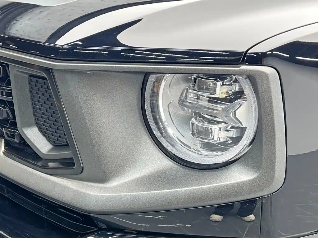 Haval Dog PLUS 2023 — фото 10