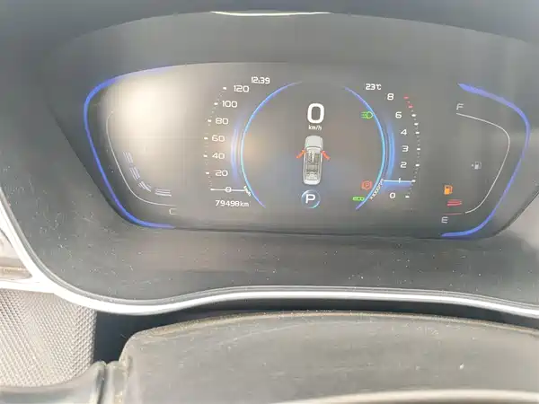 Geely Binrui 2020