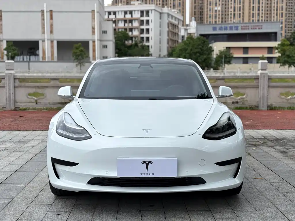 Tesla Model 3 2020 — фото 2
