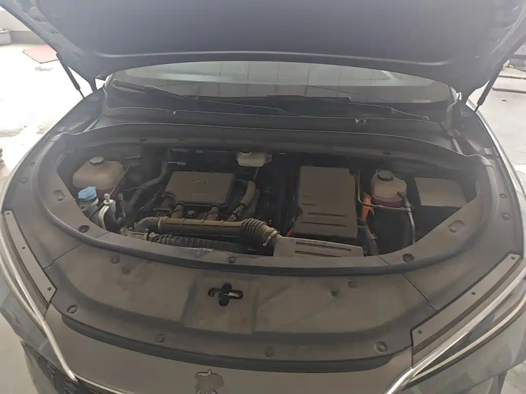 BYD Song L DM-i 2025 — фото 20
