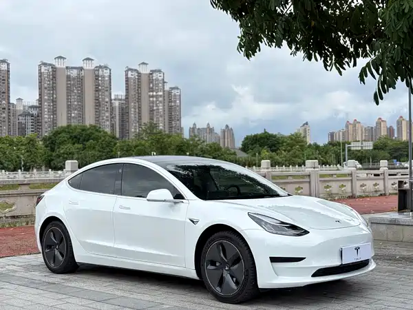 Tesla Model 3 2020
