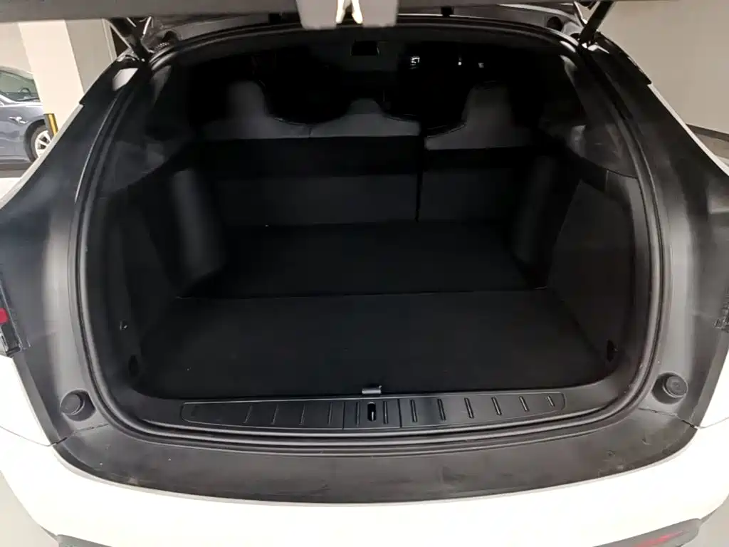 Tesla Model X 2020 — фото 19