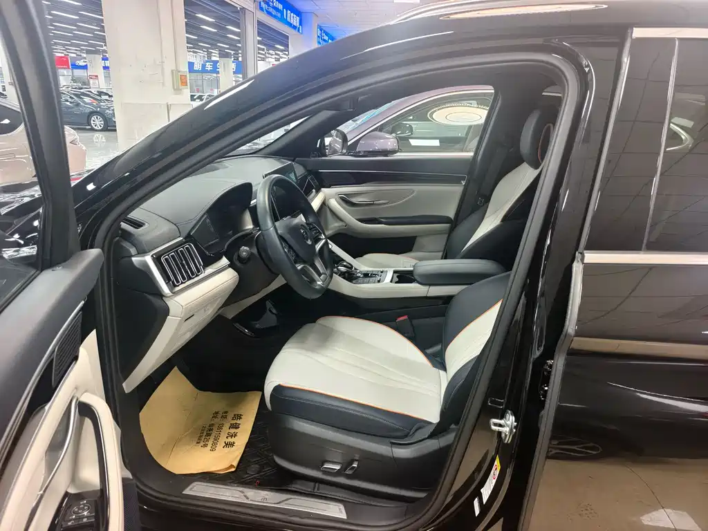 BYD PLUS New Energy 2023 — фото 3