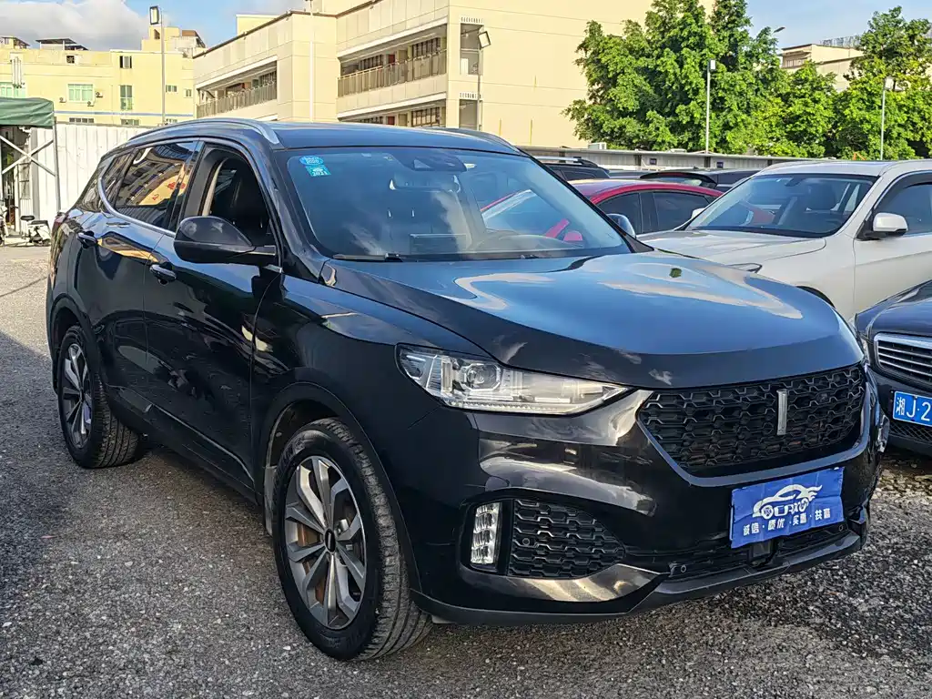 Wey VV6 2019
