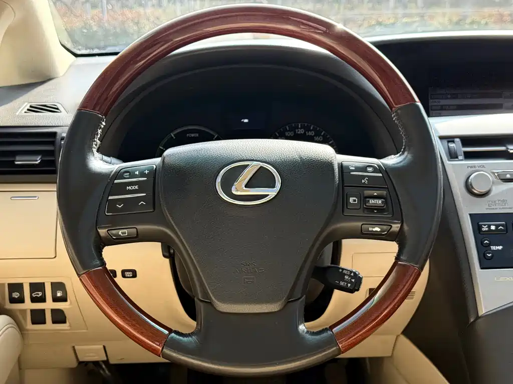 Lexus RX Classic 2010 — фото 16