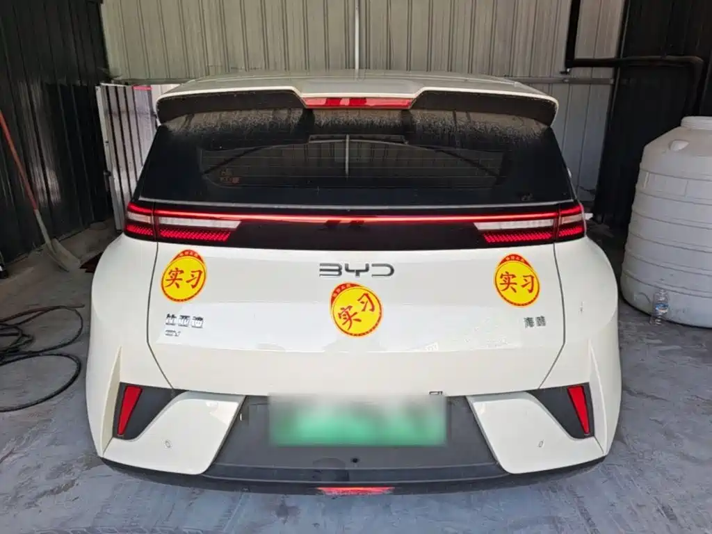 BYD Seagull 2025