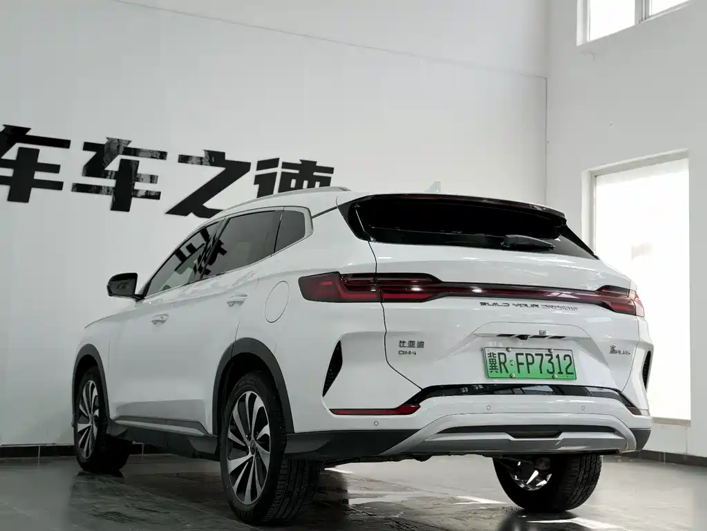 BYD PLUS New Energy 2024 — фото 21