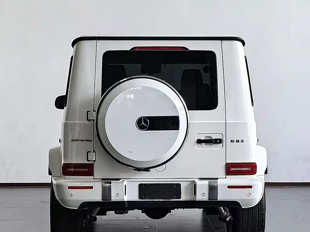 Mercedes-Benz G-Class AMG 2024 — фото 13