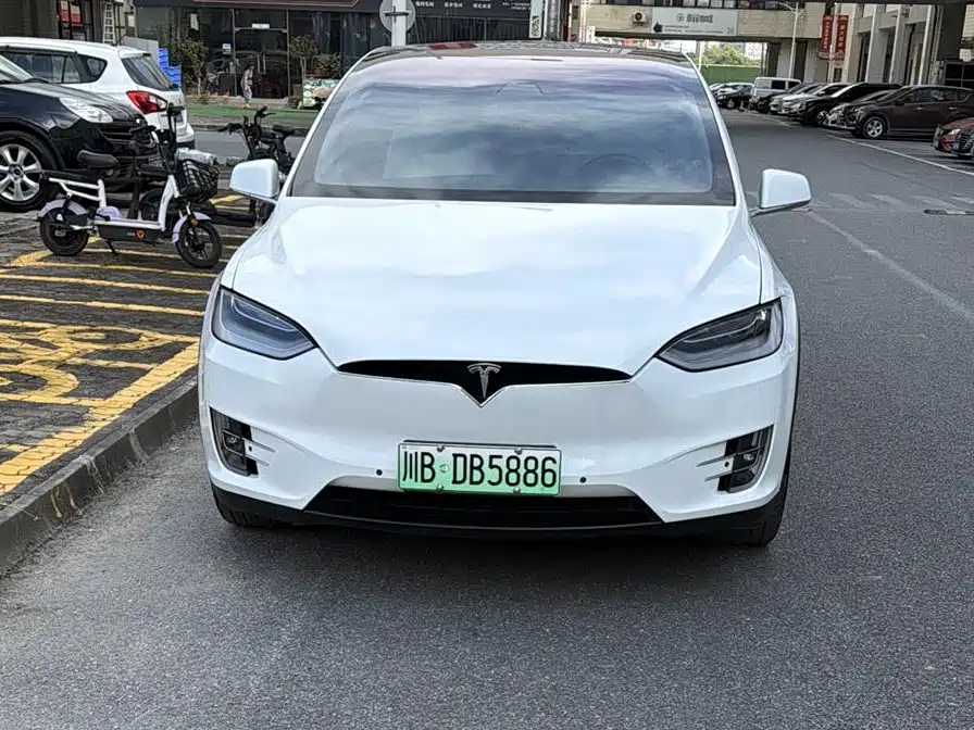 Tesla Model X 2020 — фото 1