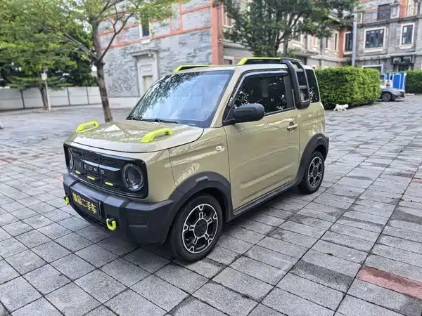 Geely Galaxy Panda 2024