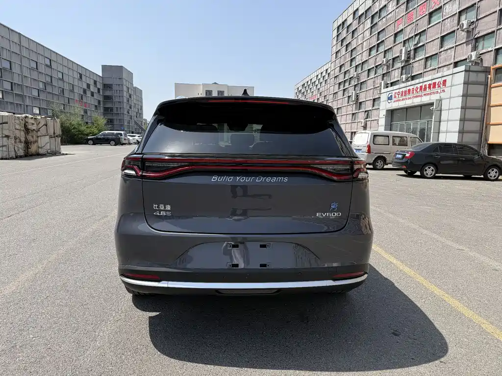 BYD Tang New Energy 2019 — фото 15
