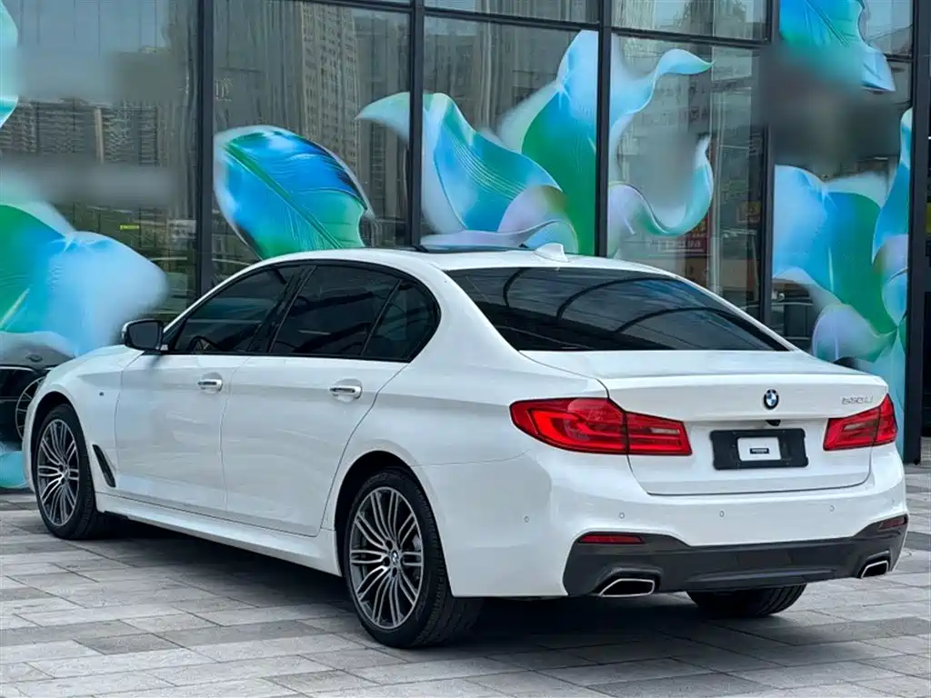 BMW 5 Series 2018 — фото 12