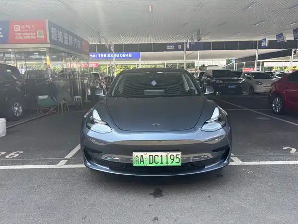 Tesla Model 3 2020