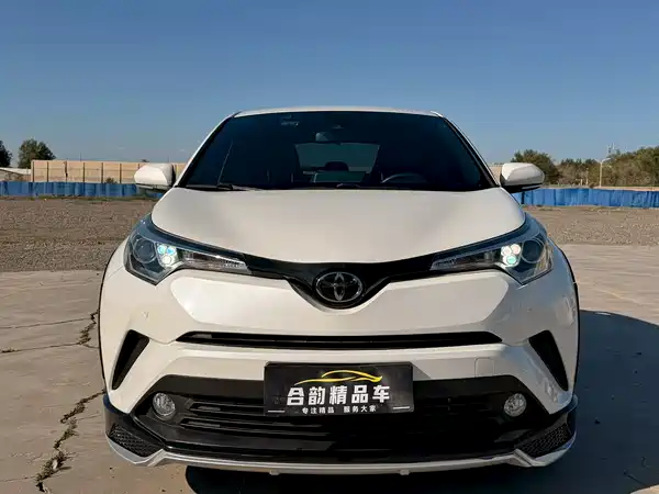 Toyota IZOA 2019