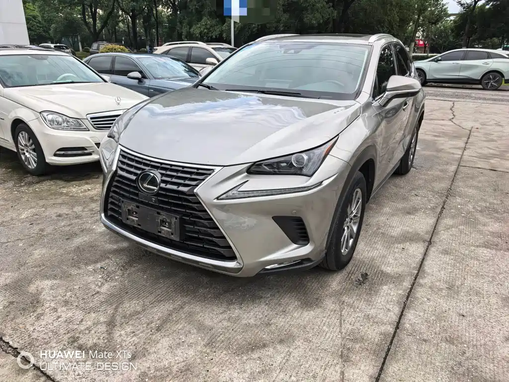 Lexus NX 2021 — фото 1