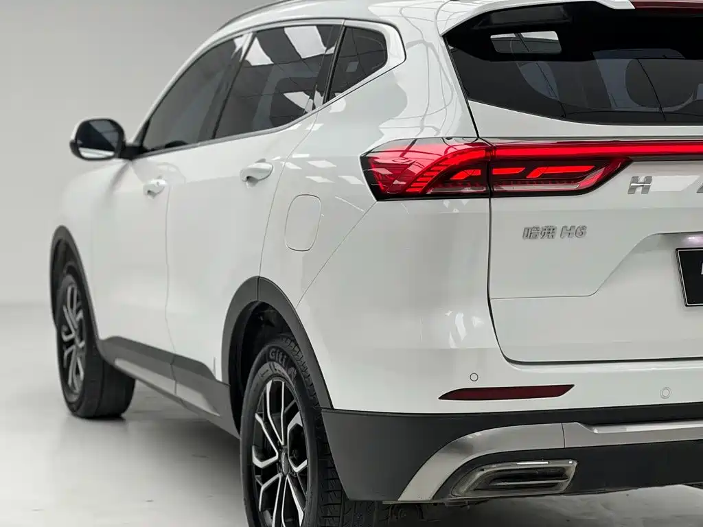 Haval H6 2022 — фото 8