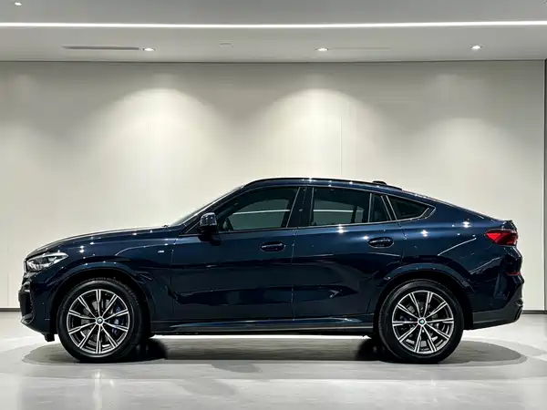 BMW X6 2023