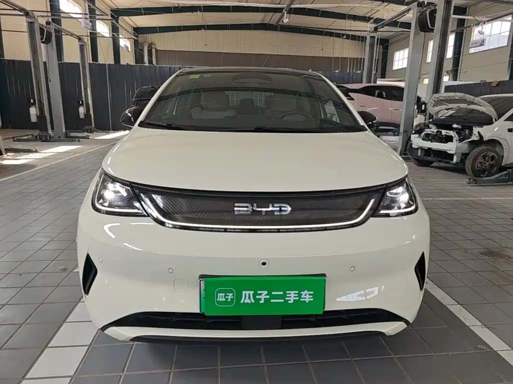 BYD Dolphin 2025 — фото 3