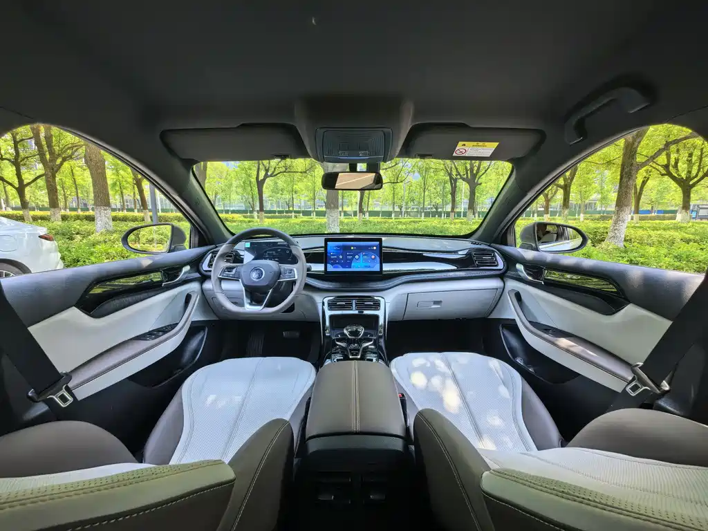 BYD Qin PLUS 2024 — фото 13