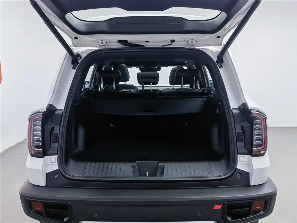 Haval Big Dog 2023 — фото 16
