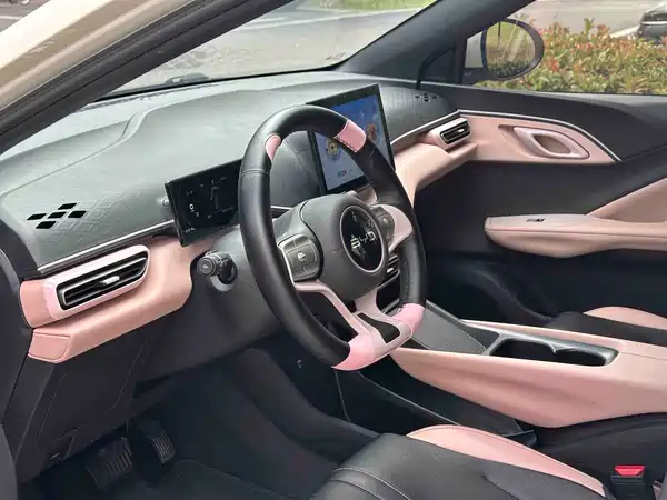 BYD Seagull 2024