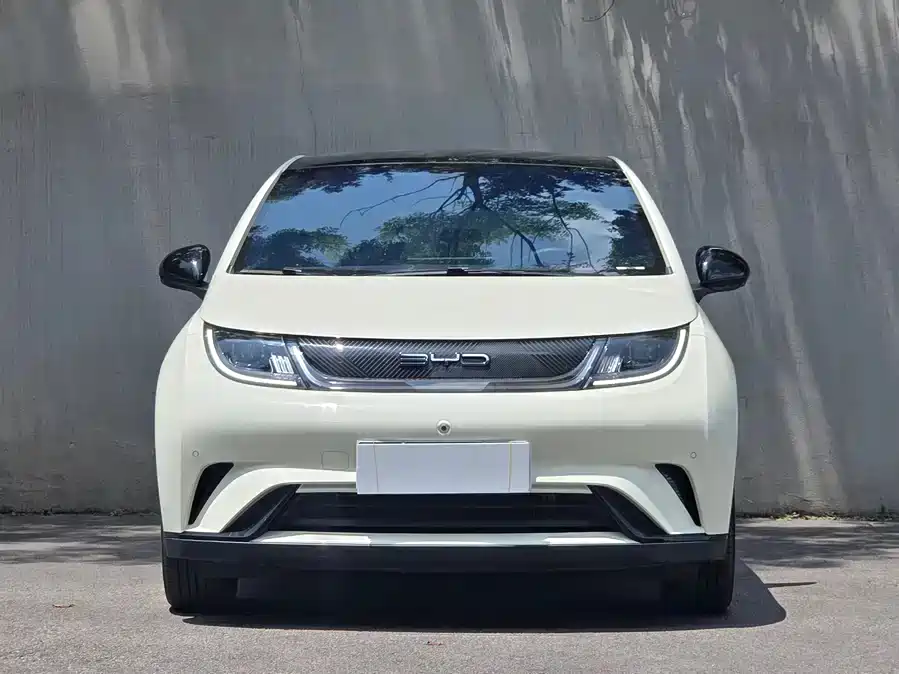 BYD Dolphin 2023 — фото 2