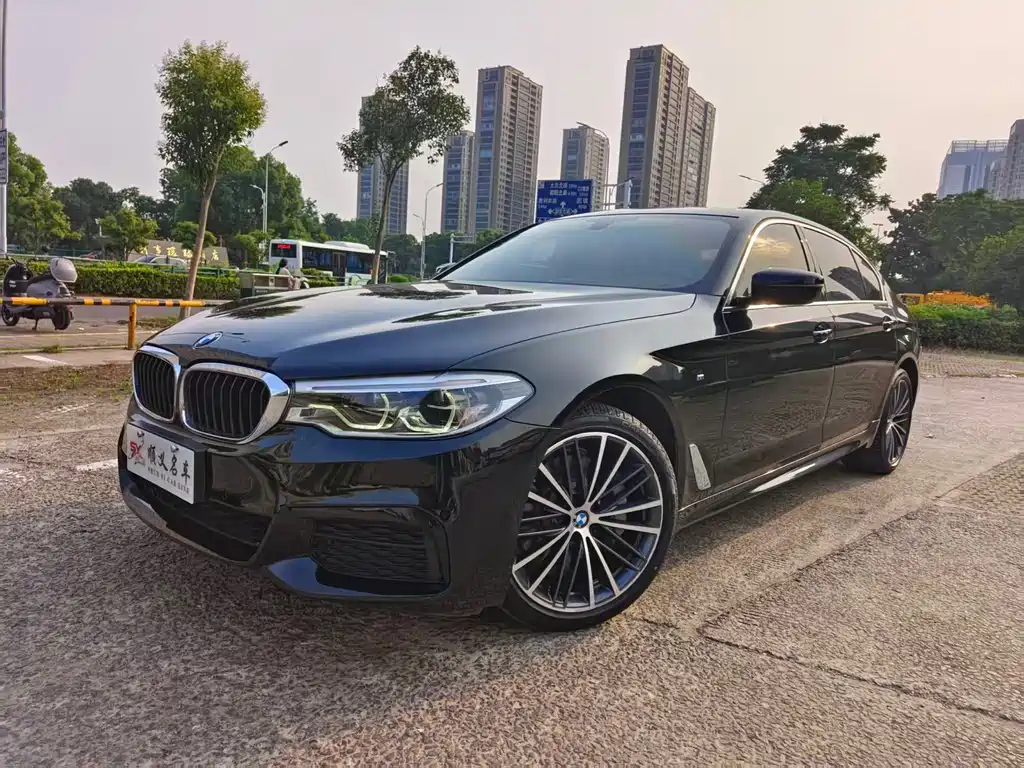 BMW 5 Series 2020