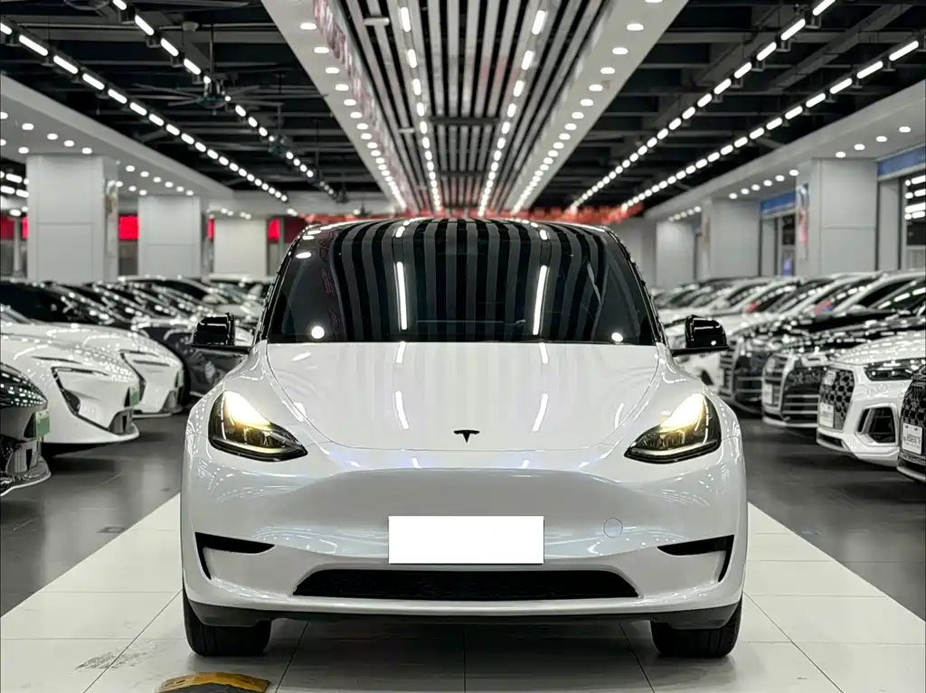 Tesla Model Y 2024 — фото 2