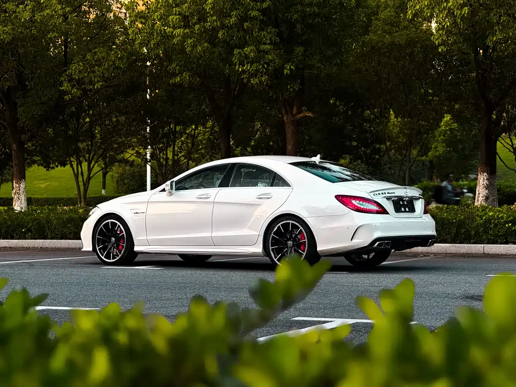Mercedes-Benz CLS AMG 2017 — фото 14