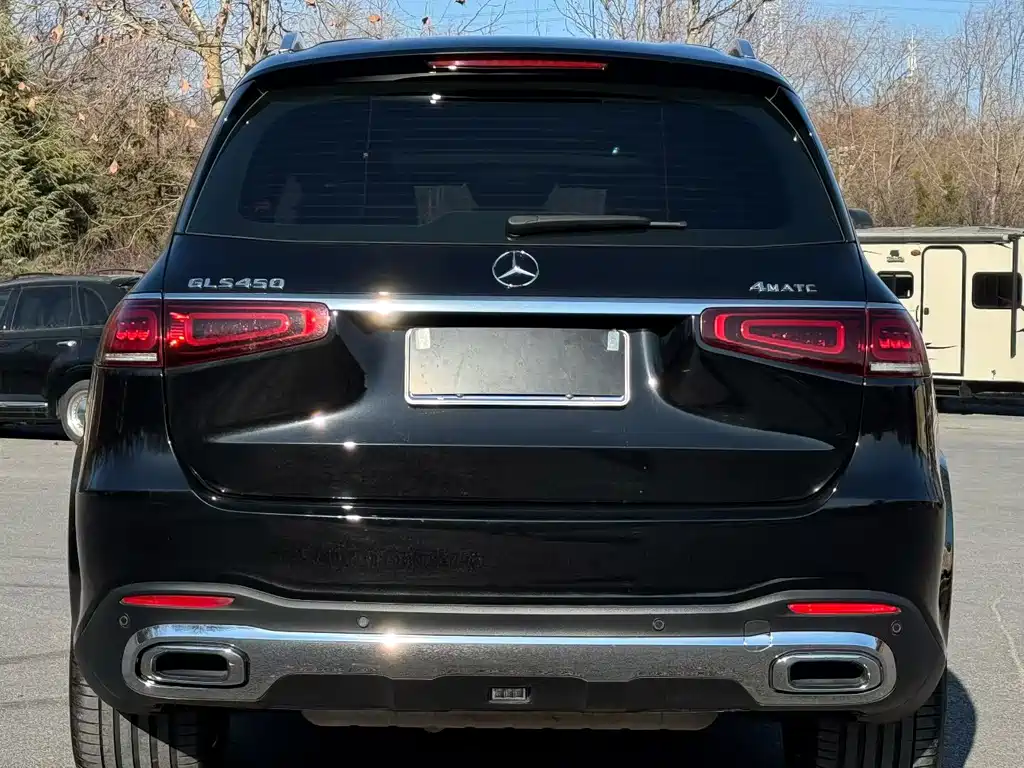 Mercedes-Benz GLS 2022 — фото 4