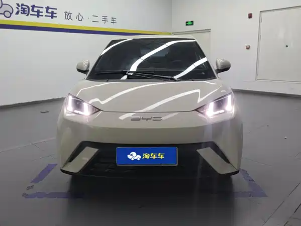 BYD Seagull 2024