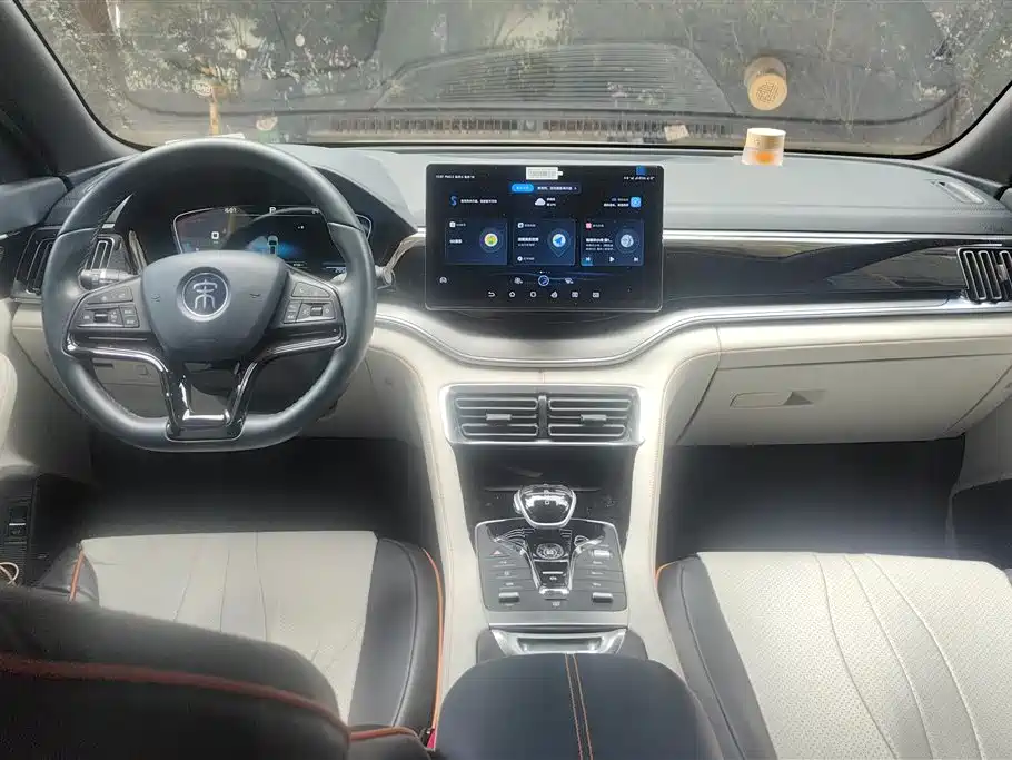 BYD PLUS New Energy 2023 — фото 12