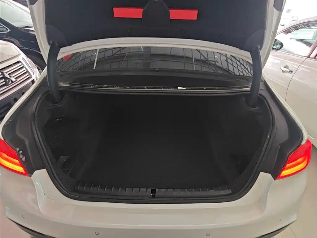 BMW 5 Series 2019 — фото 19