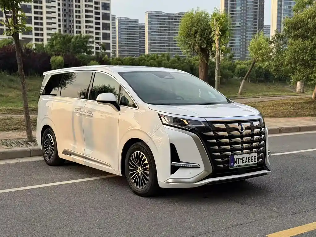 Denza D9 2023 — фото 3