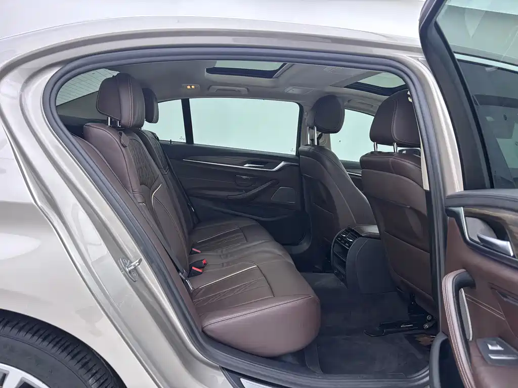 BMW 5 Series New Energy 2019