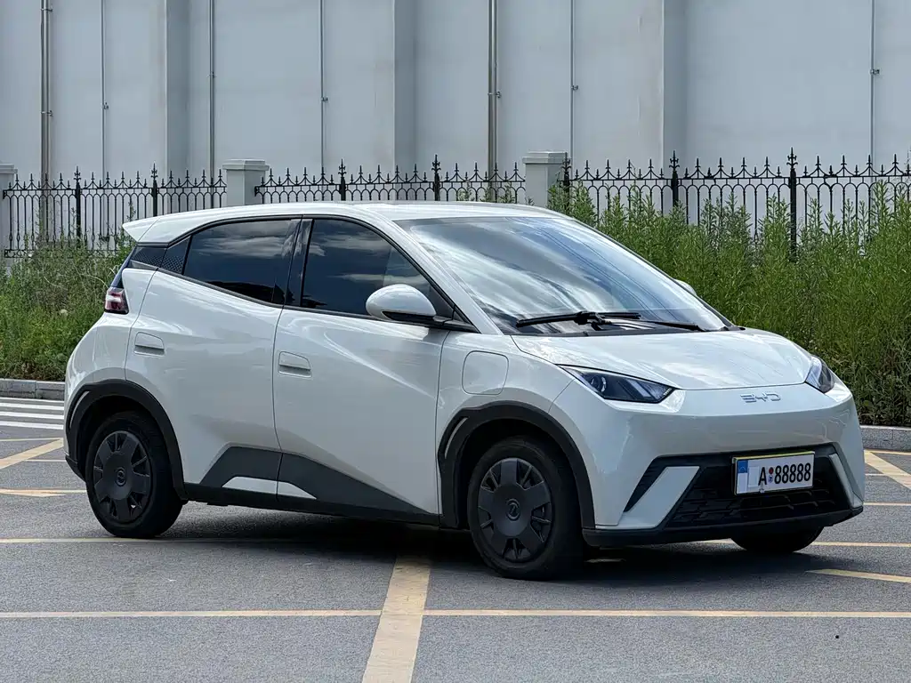 BYD Seagull 2024