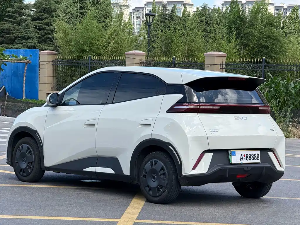 BYD Seagull 2024