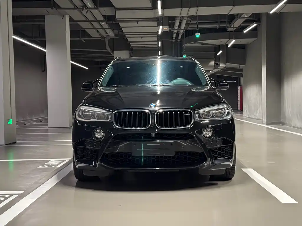 BMW X5 M 2016 — фото 2