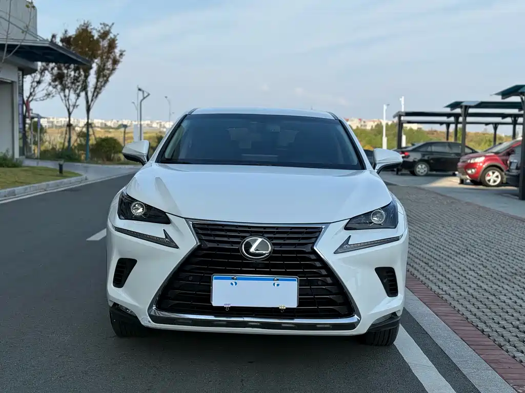 Lexus NX 2018 — фото 2